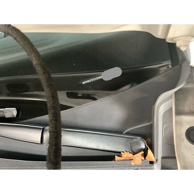 VW 1.5 eTSI RLine 75 Edition DSG Golf VIII [SC]