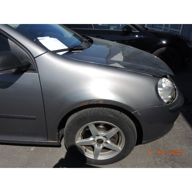 VW 1.4 TSI 140 Leader Golf V [SC]