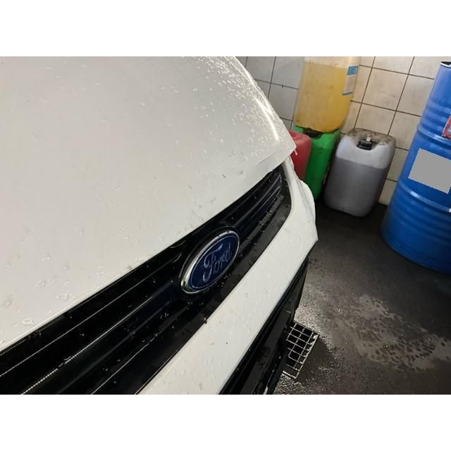 Ford 2.0 EcoB SCTi SMax [SC]