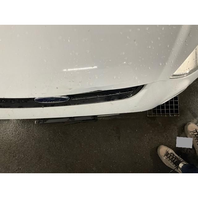 Ford 2.0 EcoB SCTi SMax [SC]