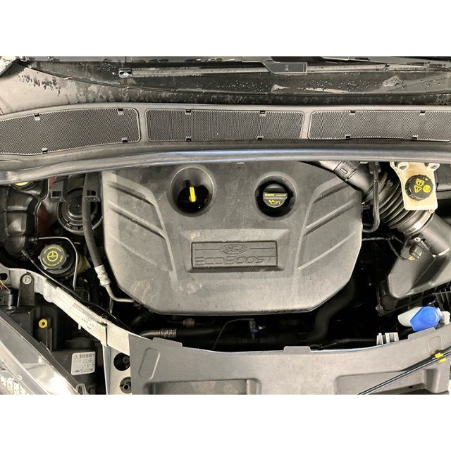 Ford 2.0 EcoB SCTi SMax [SC]