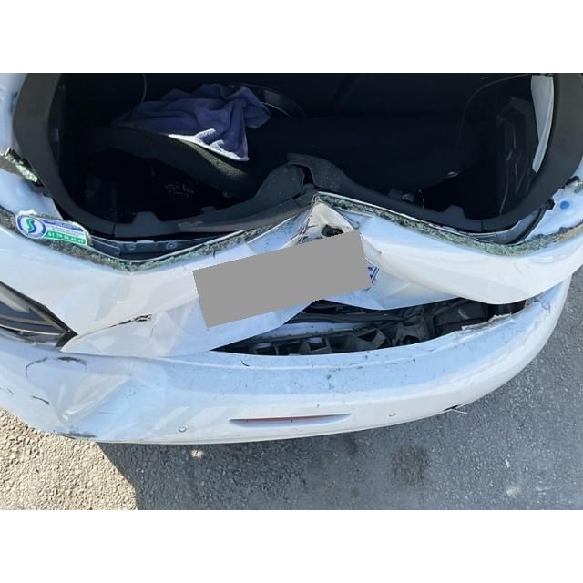 Peugeot 1.6 BlueHDI business 208 [SC]