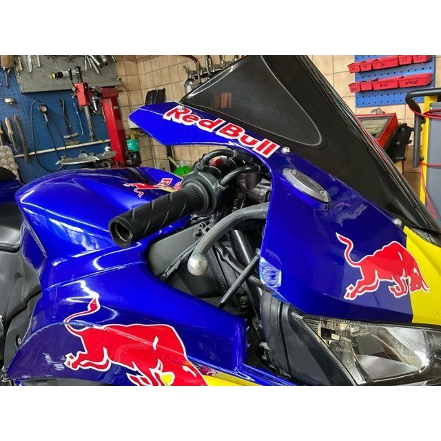 Honda RR CBR 600 [SC]