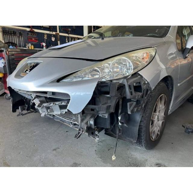 Peugeot 1.4 16V 95 Active 207 [SC]