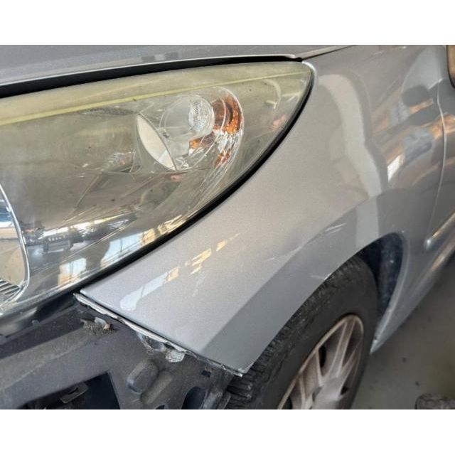 Peugeot 1.4 16V 95 Active 207 [SC]