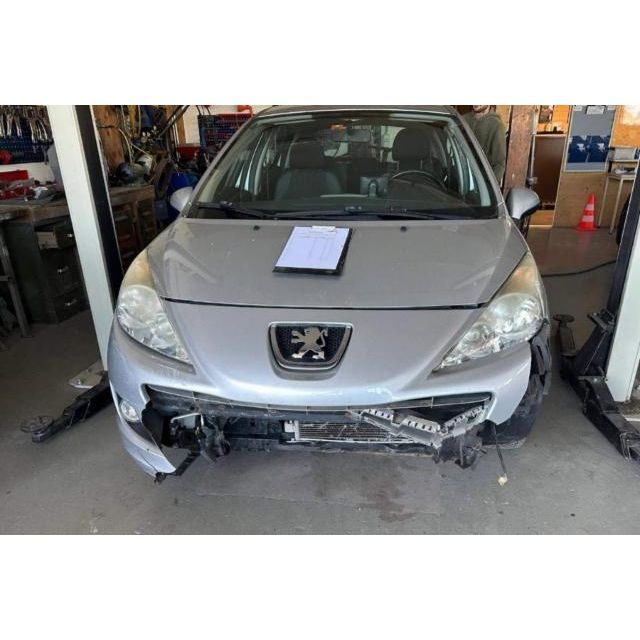 Peugeot 1.4 16V 95 Active 207 [SC]