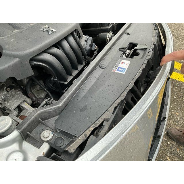 Peugeot 2.0 16V 143 Platinum Edition 307 CC [SC]