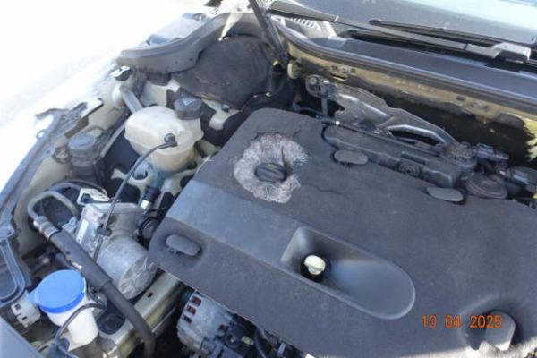 Peugeot 2.0 BlueHDi 180 Allure S/S 508 SW [SC]