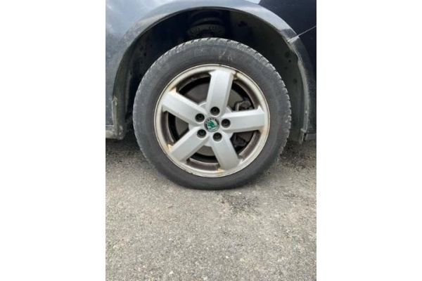 Skoda 1.9 TDI DPF Classic Fabia Combi [SC]
