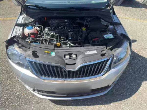 SKODA Rapid Spaceback 1.6 TDI Elegance, 105 PS [AZ]