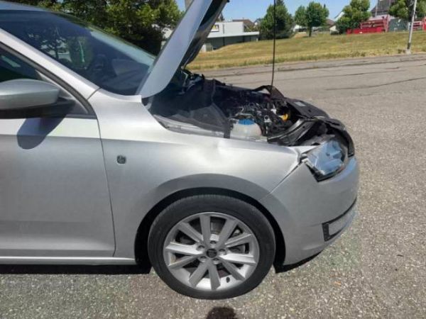 SKODA Rapid Spaceback 1.6 TDI Elegance, 105 PS [AZ]