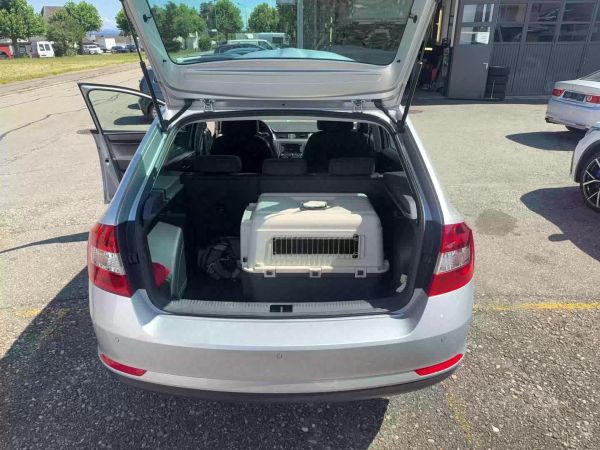 SKODA Rapid Spaceback 1.6 TDI Elegance, 105 PS [AZ]
