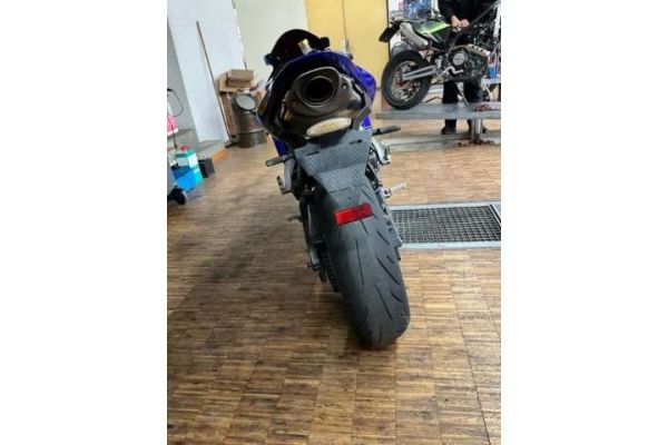 Honda RR CBR 600 [SC]