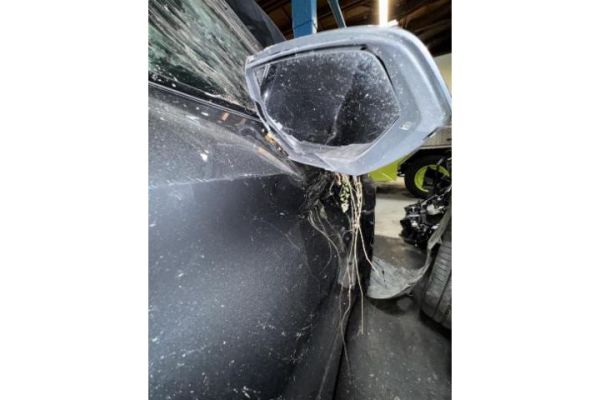 CUPRA 1.5 eTSI DSG Leon [SC]