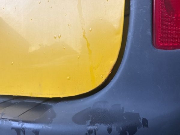 Renault 1.6 16V Kangoo Express [SC]