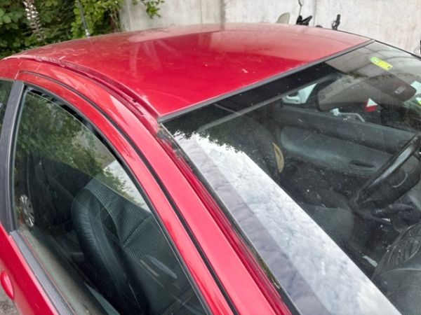 Peugeot 2.0 16V GTI 206 [SC]