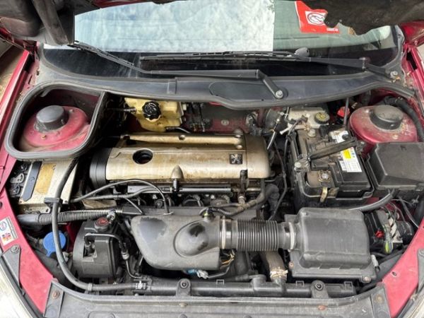 Peugeot 2.0 16V GTI 206 [SC]