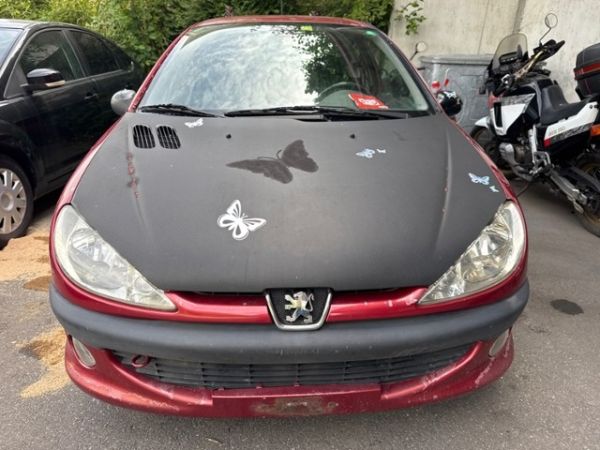Peugeot 2.0 16V GTI 206 [SC]