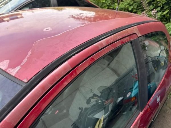 Peugeot 2.0 16V GTI 206 [SC]