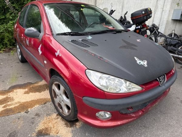 Peugeot 2.0 16V GTI 206 [SC]