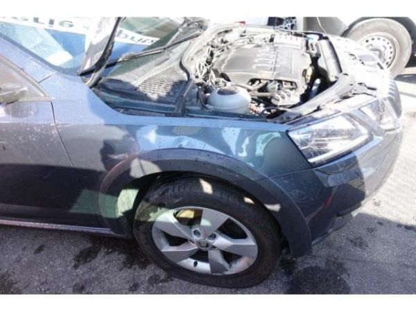 Skoda 2.0 TDI 184 4x4 DSG Octavia Scout [SC]