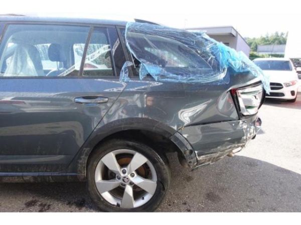 Skoda 2.0 TDI 184 4x4 DSG Octavia Scout [SC]