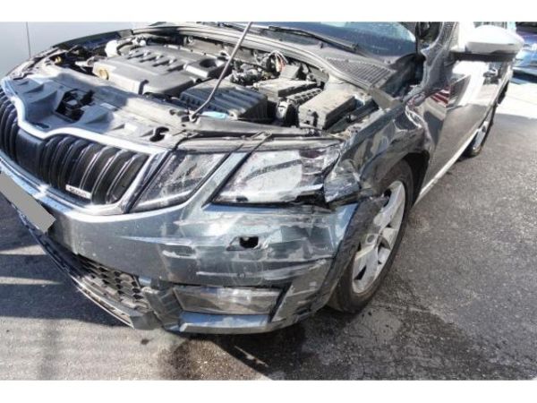 Skoda 2.0 TDI 184 4x4 DSG Octavia Scout [SC]