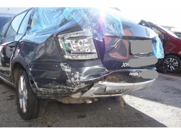 Skoda 2.0 TDI 184 4x4 DSG Octavia Scout [SC]