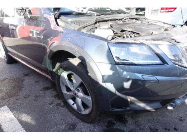 Skoda 2.0 TDI 184 4x4 DSG Octavia Scout [SC]