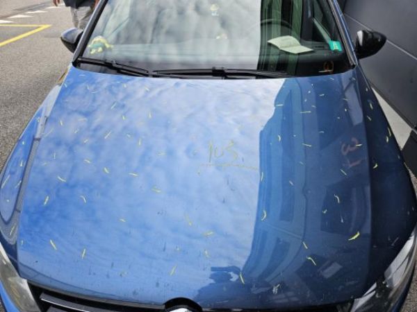 VW 1.4 TSI BlueGT DSG Polo [SC]