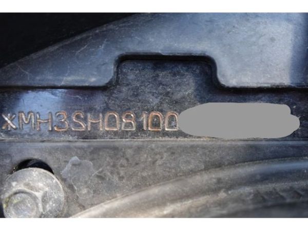Yamaha . CZD 300 XMax ABS [SC]
