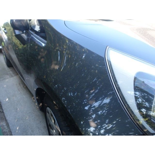 Kia Limousine RIO [SC]