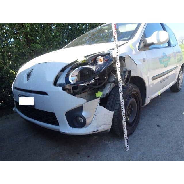 Renault Limousine TWINGO [SC]