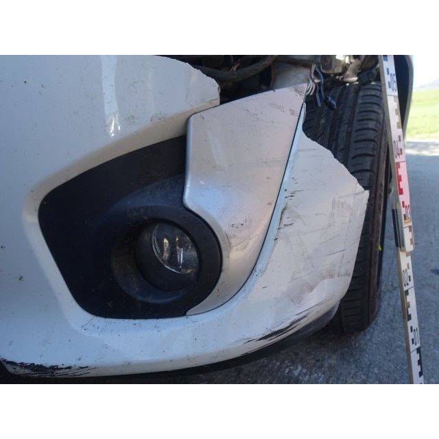 Renault Limousine TWINGO [SC]