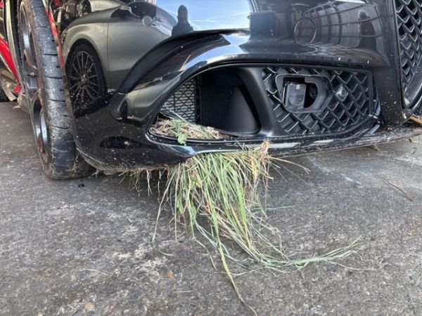Alfa Romeo 2.9 V6 Biturbo Quadrifoglio Giulia [SC]