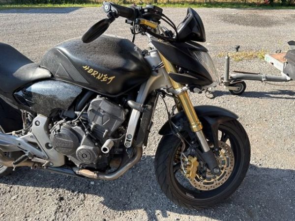 Honda Hornet CB 600 [SC]
