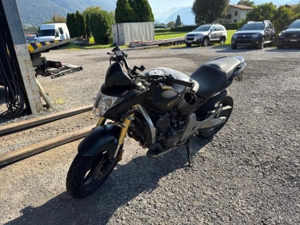 Honda Hornet CB 600 [SC]