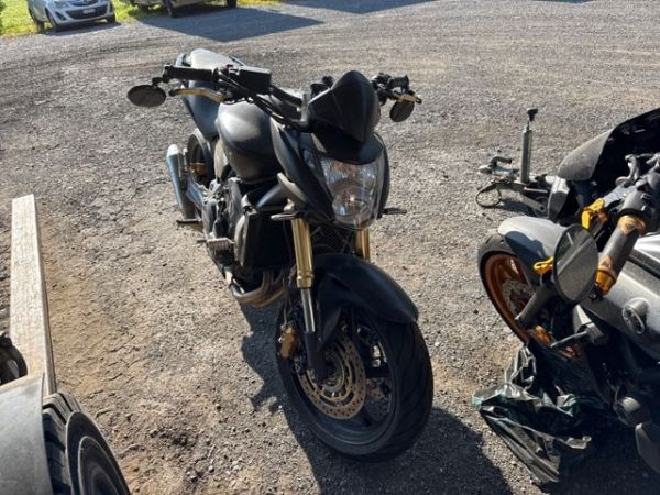 Honda Hornet CB 600 [SC]