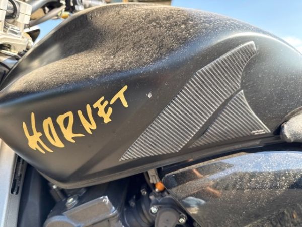 Honda Hornet CB 600 [SC]