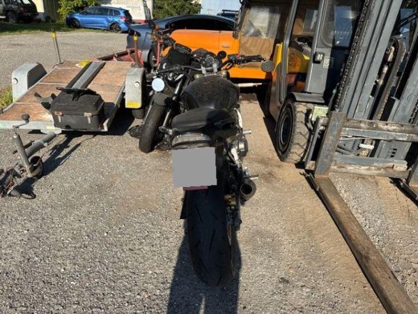 Honda Hornet CB 600 [SC]