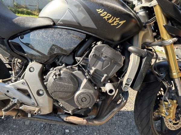 Honda Hornet CB 600 [SC]