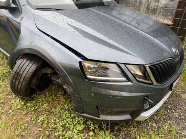 Skoda 2.0 TDI 184 4x4 DSG Octavia Scout [SC]