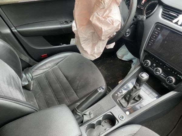 Skoda 2.0 TDI 184 4x4 DSG Octavia Scout [SC]