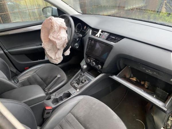 Skoda 2.0 TDI 184 4x4 DSG Octavia Scout [SC]