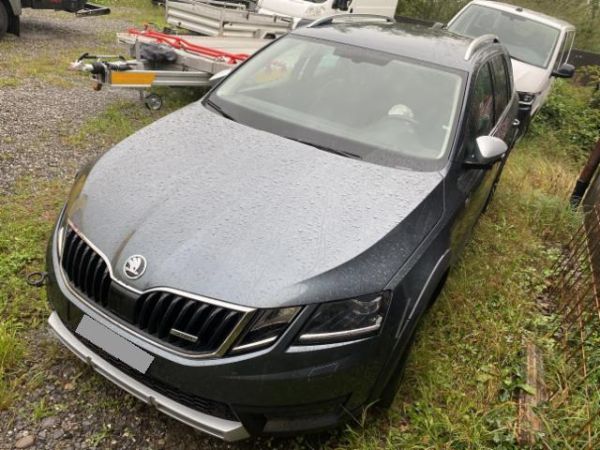 Skoda 2.0 TDI 184 4x4 DSG Octavia Scout [SC]