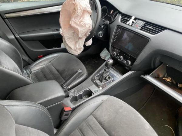 Skoda 2.0 TDI 184 4x4 DSG Octavia Scout [SC]