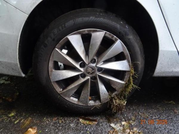 Skoda 2.0 TDI Selection 4x4 DSG Superb Combi [SC]