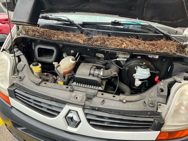 Renault 2.5 dCi 120 Master fourg. 3.3 t L1H1 [SC]
