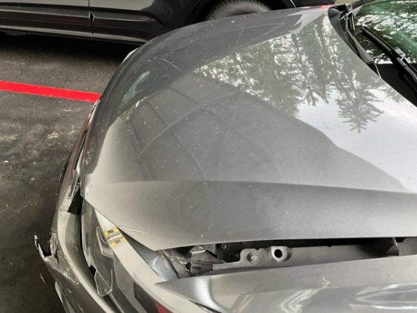VW Trendline BMT/StartStopp Polo V 6C101.20142017 [SC]