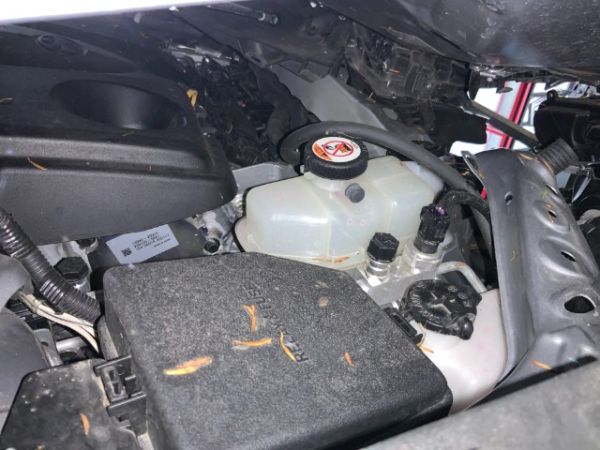 Toyota 2.5 HSD Style RAV4 [SC]